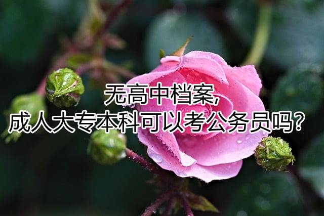 无高中档案,成人大专本科可以考公务员吗？