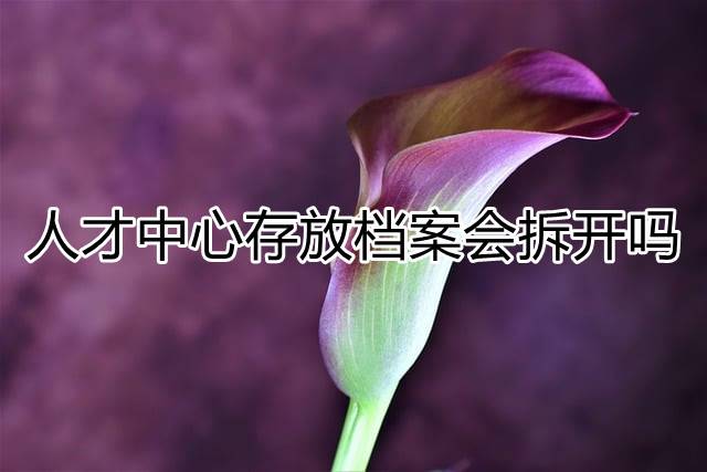 人才中心存放档案会拆开吗