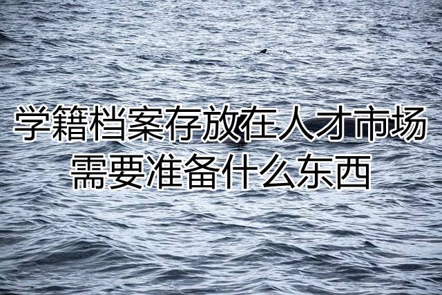 学籍档案存放在人才市场需要准备什么东西