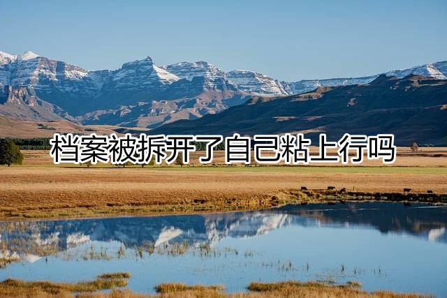 档案被拆开了自己粘上行吗