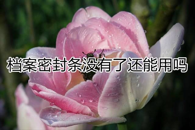档案密封条没有了还能用吗