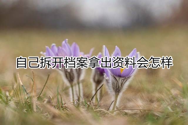 自己拆开档案拿出资料会怎样.jpg