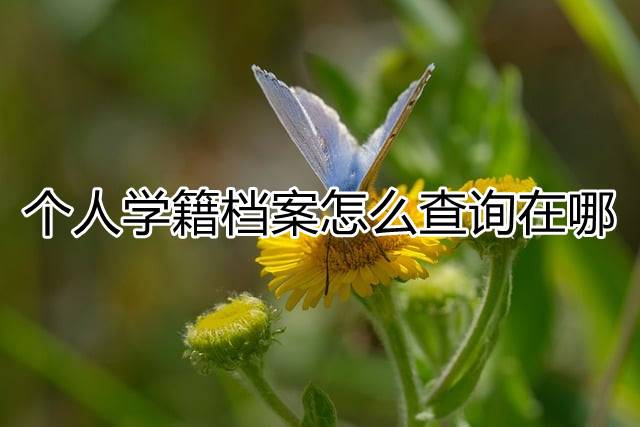  个人学籍档案怎么查询在哪