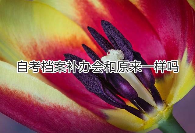 自考档案补办会和原来一样吗