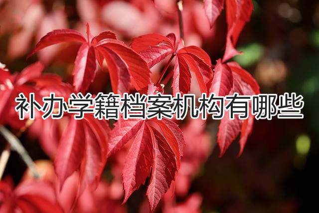 补办学籍档案机构有哪些