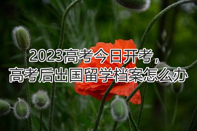 2023高考今日开考，高考后出国留学档案怎么办