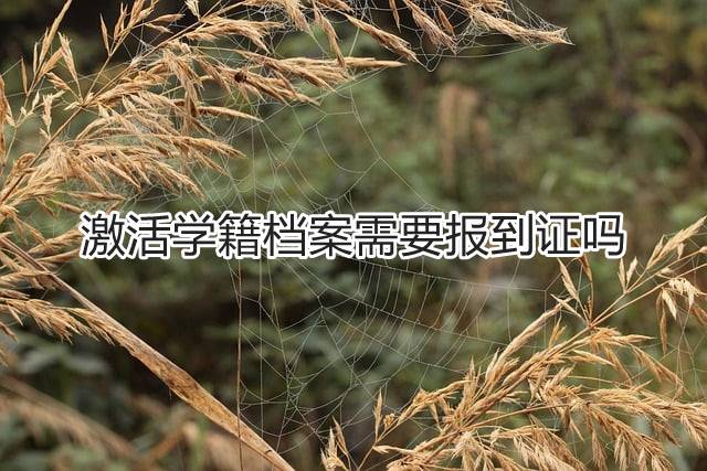 激活学籍档案需要报到证吗