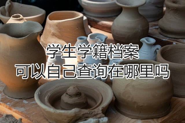 学生学籍档案可以自己查询在哪里吗