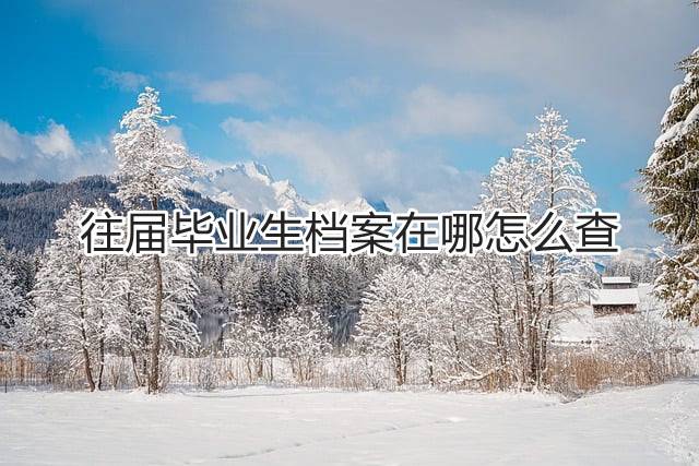 往届毕业生档案在哪怎么查