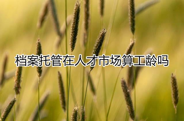 档案托管在人才市场算工龄吗