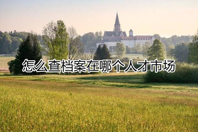怎么查档案在哪个人才市场