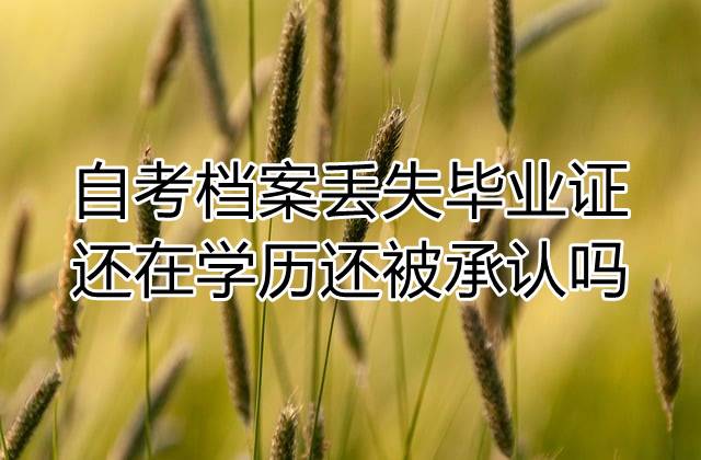 自考档案丢失毕业证还在学历还被承认吗