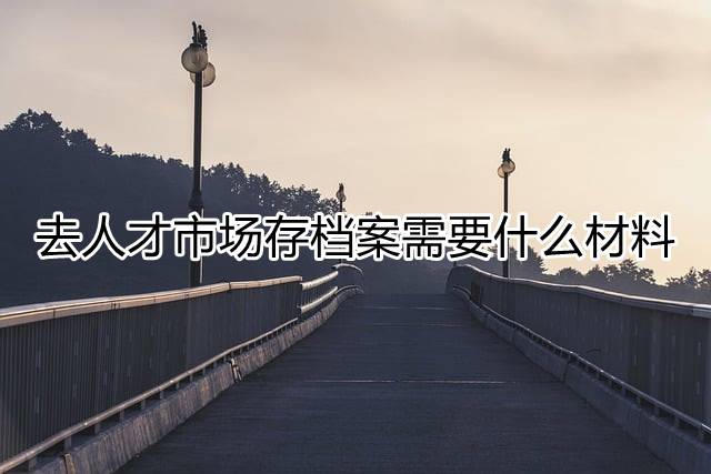去人才市场存档案需要什么材料