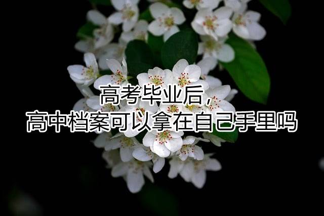 高考毕业后，高中档案可以拿在自己手里吗