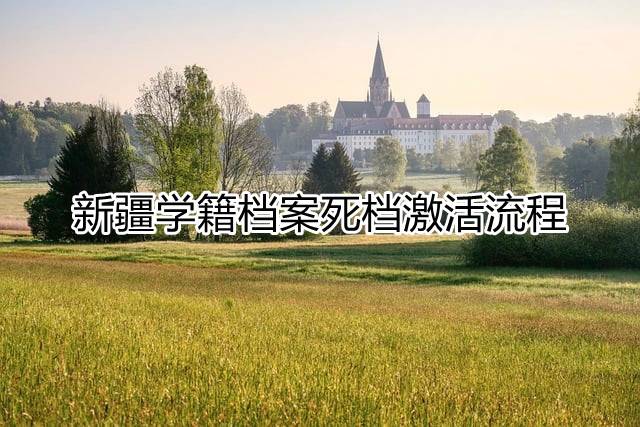 新疆学籍档案死档激活流程