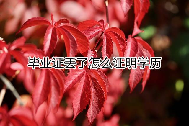 毕业证丢了怎么证明学历