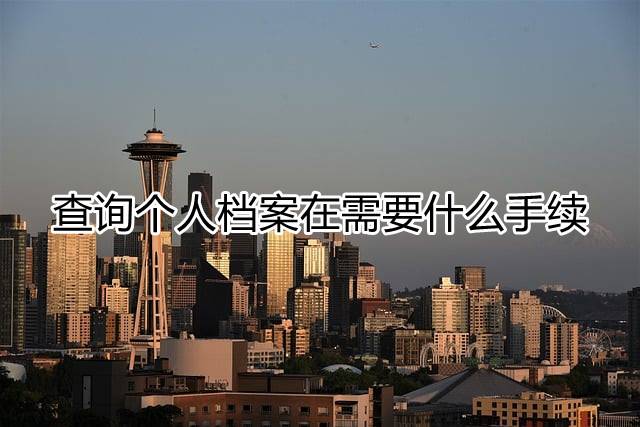 查询个人档案在需要什么手续