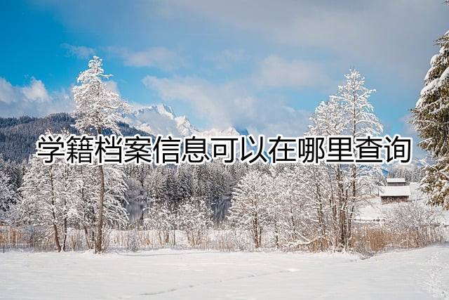学籍档案信息可以在哪里查询
