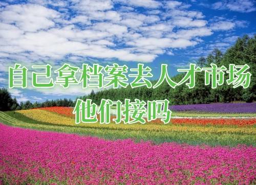 自己拿档案去人才市场,他们接吗
