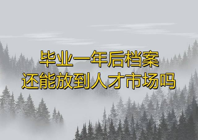 毕业一年后档案还能放到人才市场吗