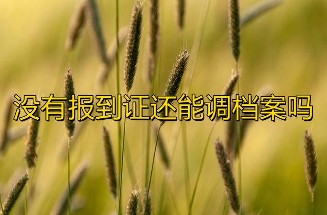 没有报到证还能调档案吗