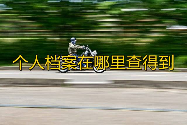个人档案在哪里查得到