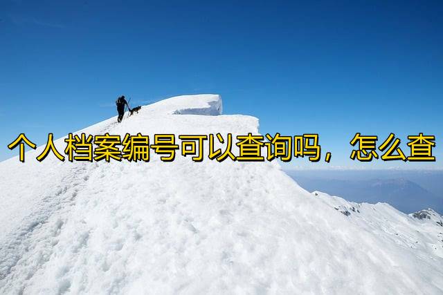 个人档案编号可以查询吗，怎么查