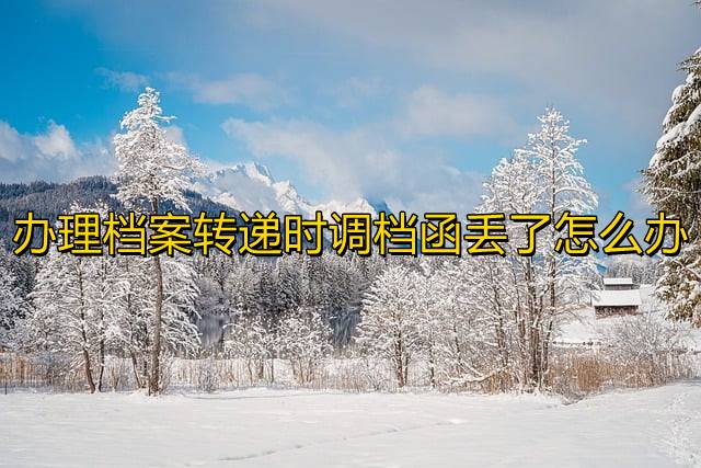 办理档案转递时调档函丢了怎么办