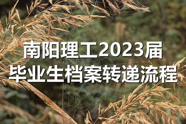 南阳理工2023届毕业生档案转递流程