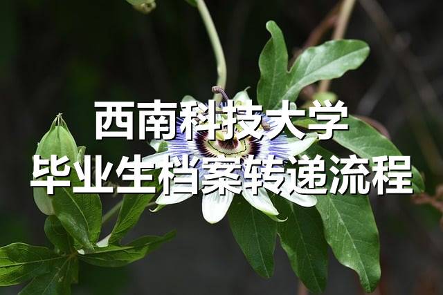 西南科技大学毕业生档案转递流程