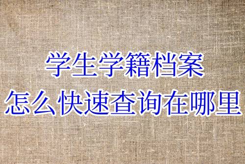 学生学籍档案怎么快速查询在哪里