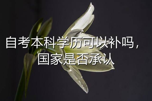 自考本科学历可以补吗，国家是否承认