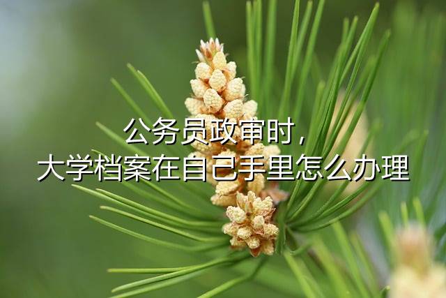 公务员政审时，大学档案在自己手里怎么办理