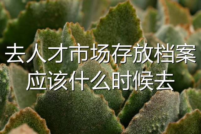 去人才市场存放档案应该什么时候去