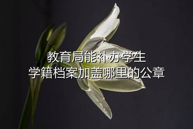 教育局能补办学生学籍档案加盖哪里的公章