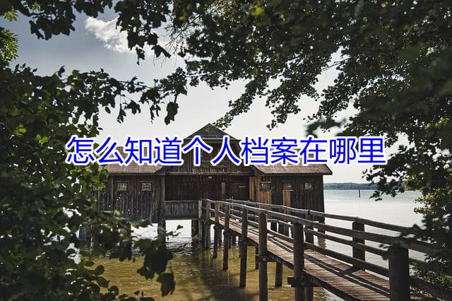 怎么知道个人档案在哪里
