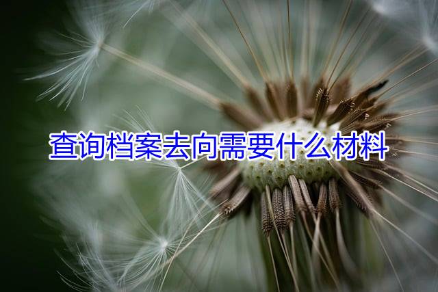 查询档案去向需要什么材料