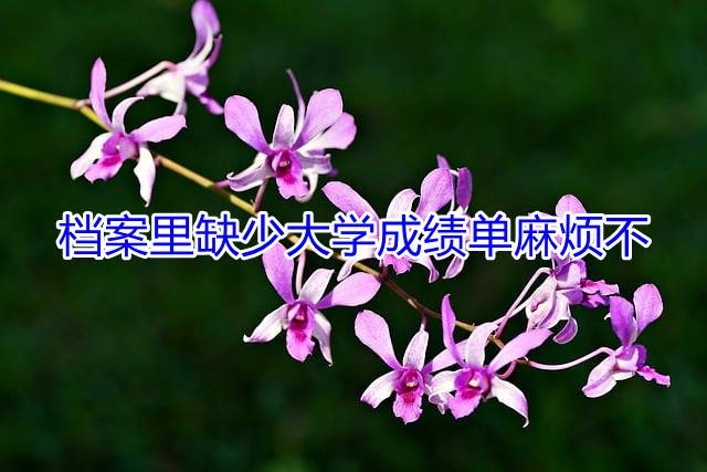 档案里缺少大学成绩单麻烦不