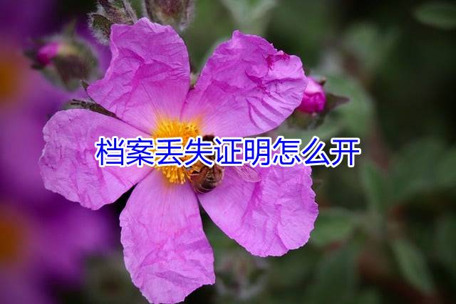 档案丢失证明怎么开