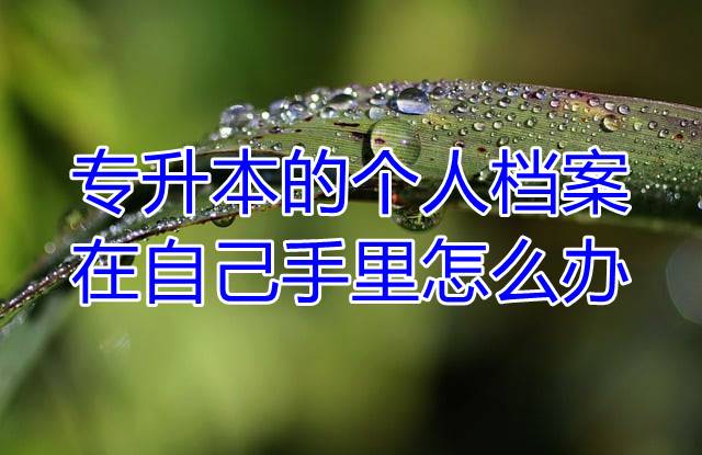 专升本的个人档案在自己手里怎么办