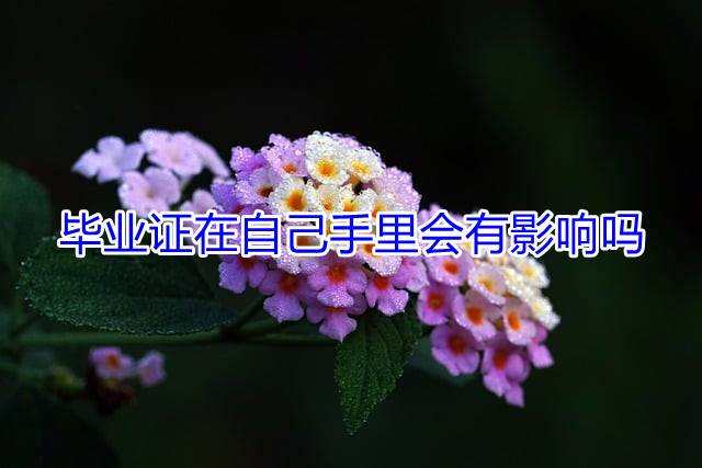 毕业证在自己手里会有影响吗