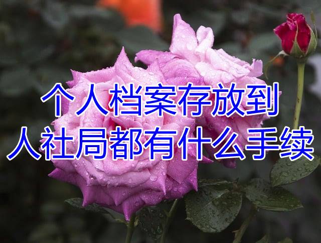 个人档案存放到人社局都有什么手续