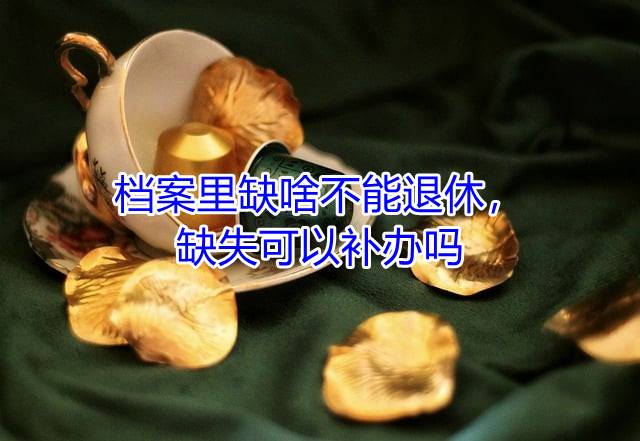 档案里缺啥不能退休，缺失可以补办吗