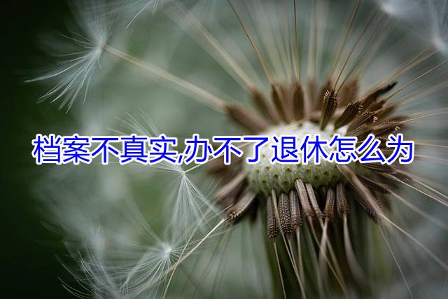 档案不真实,办不了退休怎么为