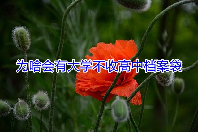 为啥会有大学不收高中档案袋