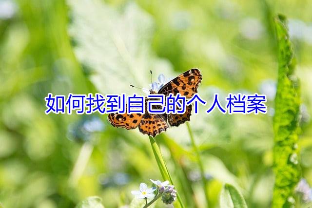 如何找到自己的个人档案