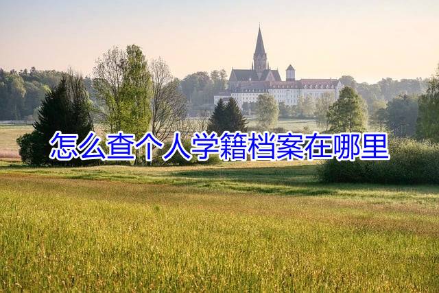 怎么查个人学籍档案在哪里
