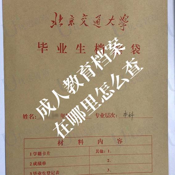 成人教育档案在哪里怎么查