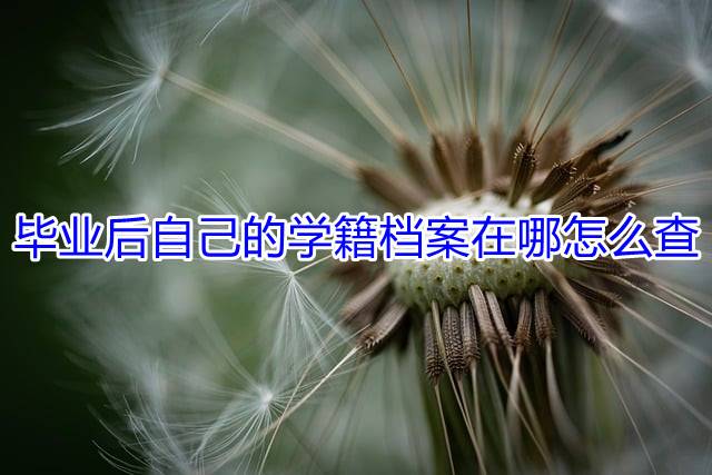 毕业后自己的学籍档案在哪怎么查