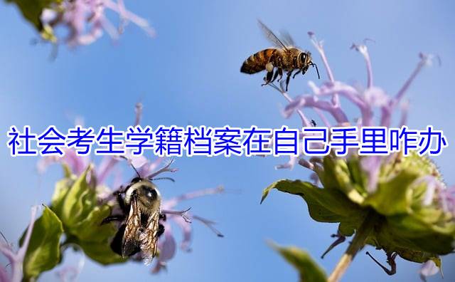 社会考生学籍档案在自己手里咋办